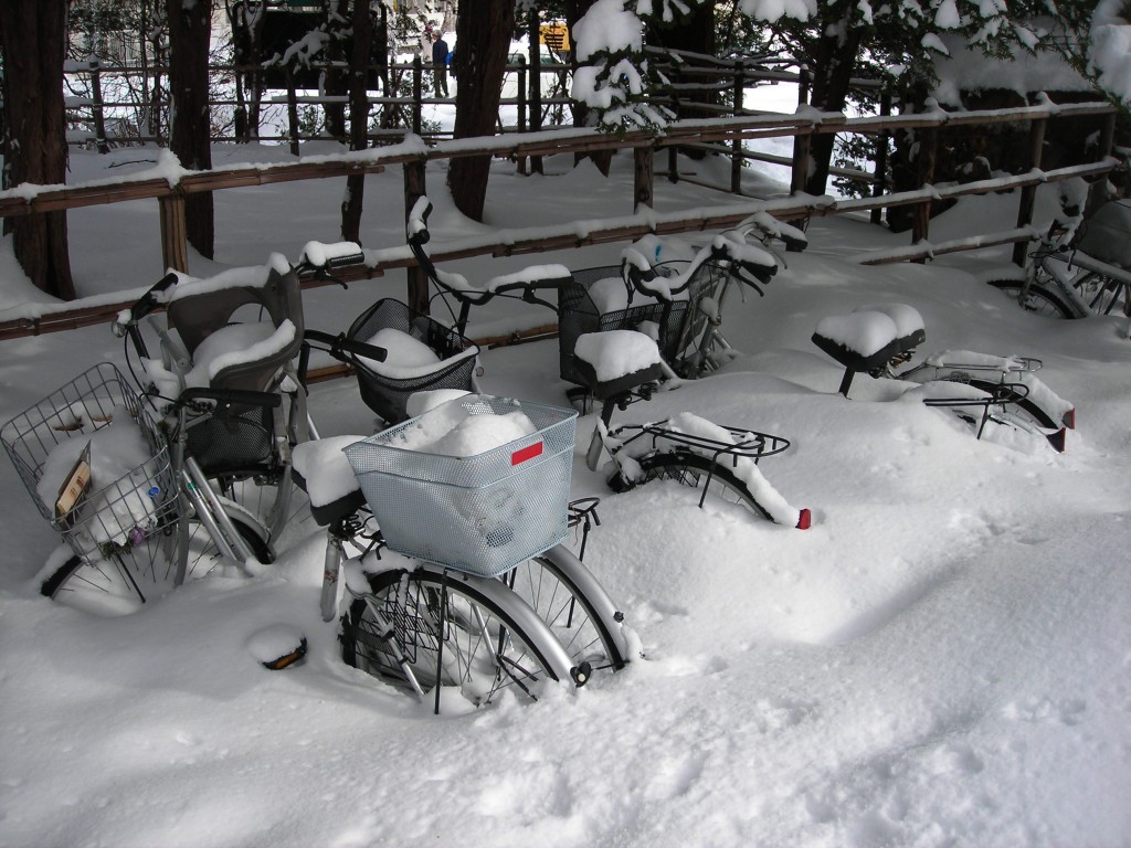 Sapporo cykler 02